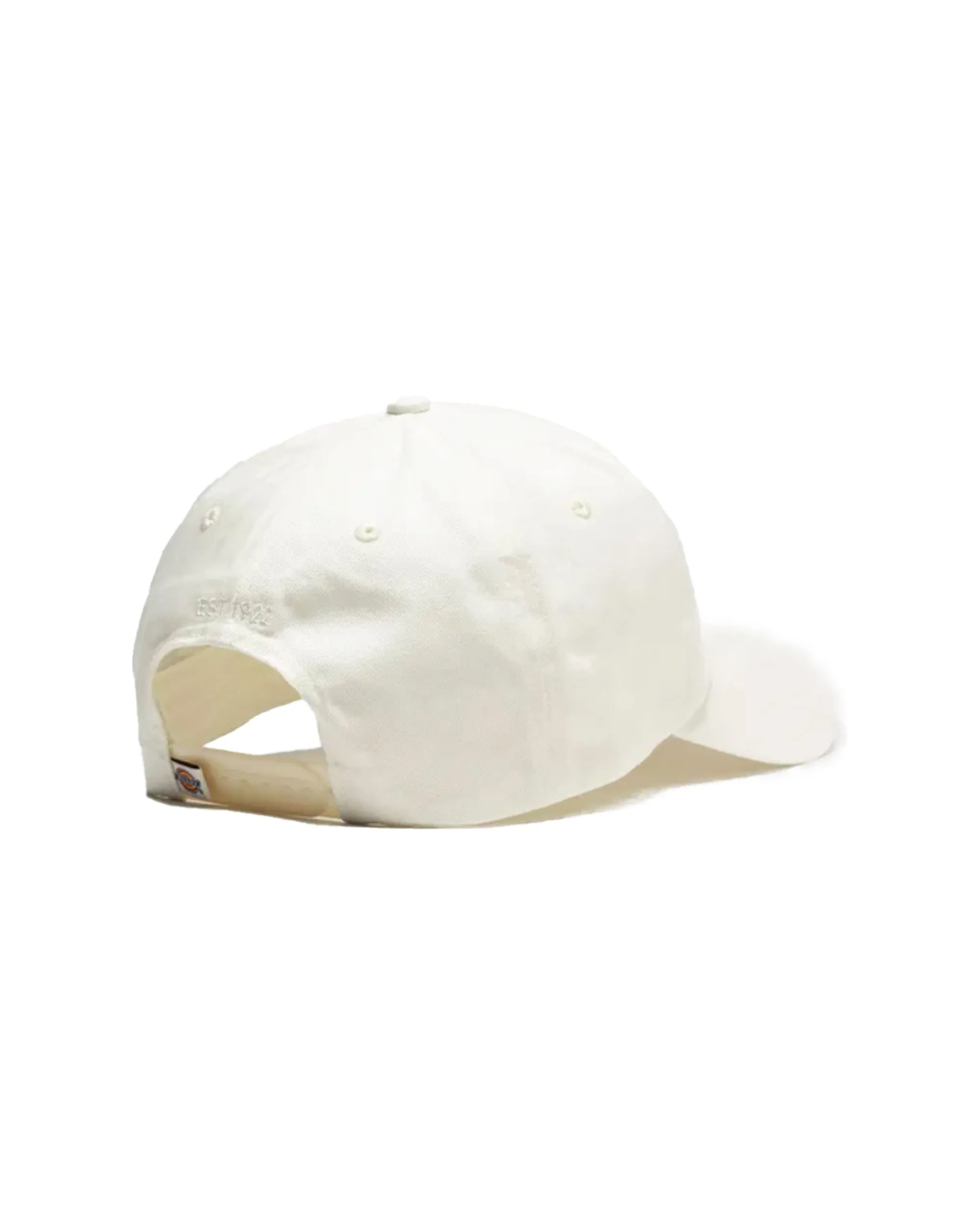 Cappello Dickies Hardwick Cloud